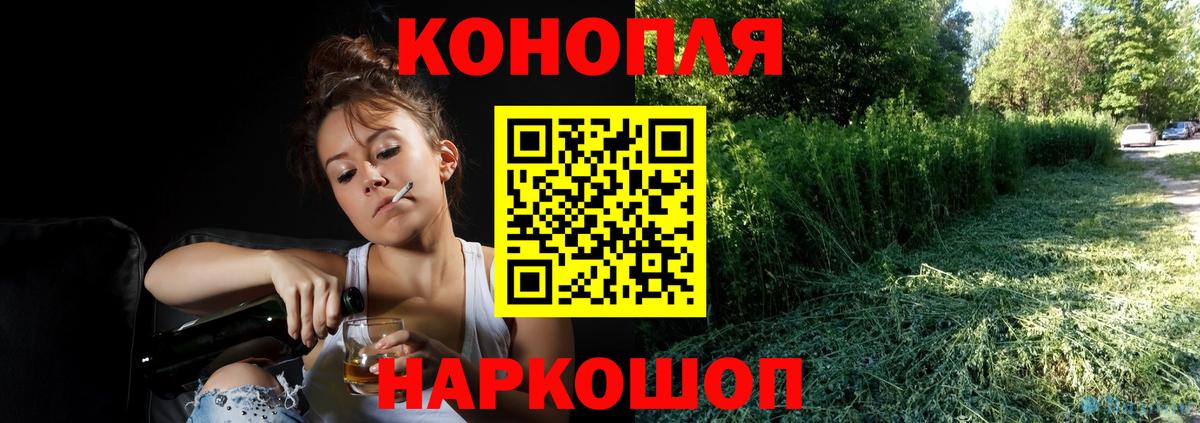 Шишки марихуана сатива Ставрополь